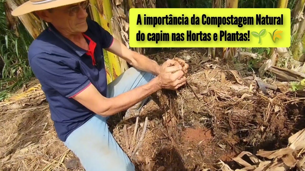 A importância da Compostagem Natural do capim nas Hortas e Plantas!🌱🌾