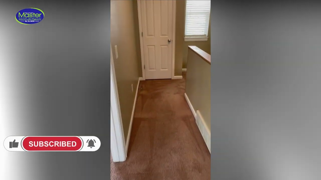 Master Odor Removal l How to Remove Bad Odor from House | Eliminate Home Odors