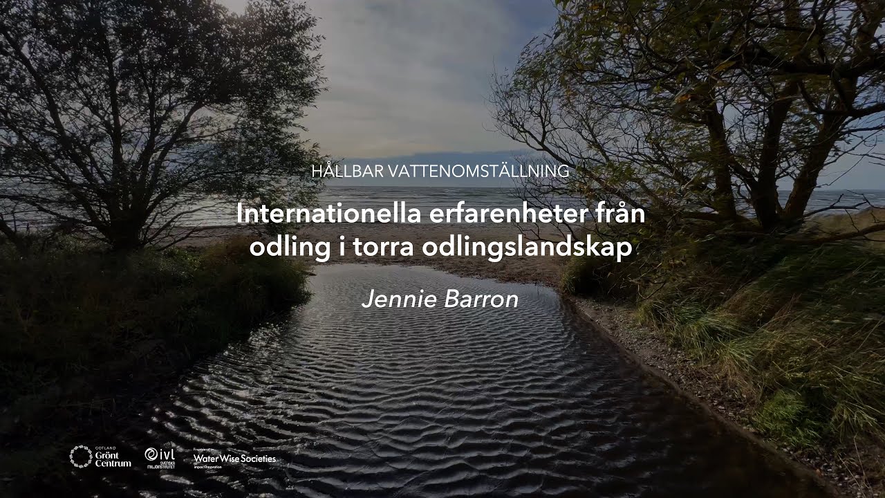 Omvärldsspaning: Internationella erfarenheter från odling i torra odlingslandskap
