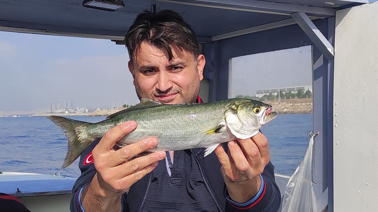 Pendik Uzun Olta ile Lüfer Avı | Zargana Nasıl Hazırlanır