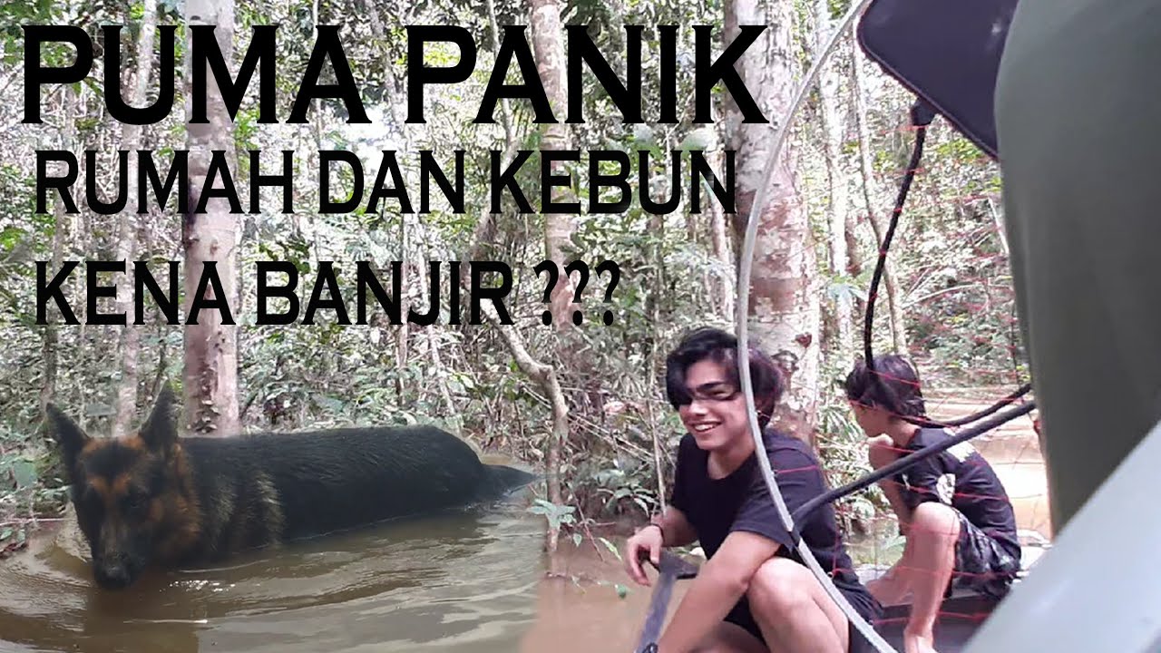 BANJIR, Andrew sibuk Pindahin Alat