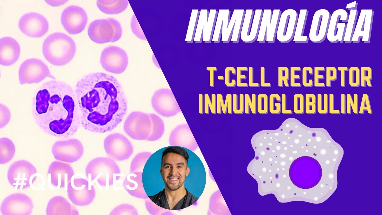 RECONOCIMIENTO DE ANTÍGENO: Receptor de Linfocitos T e Inmunoglobulinas