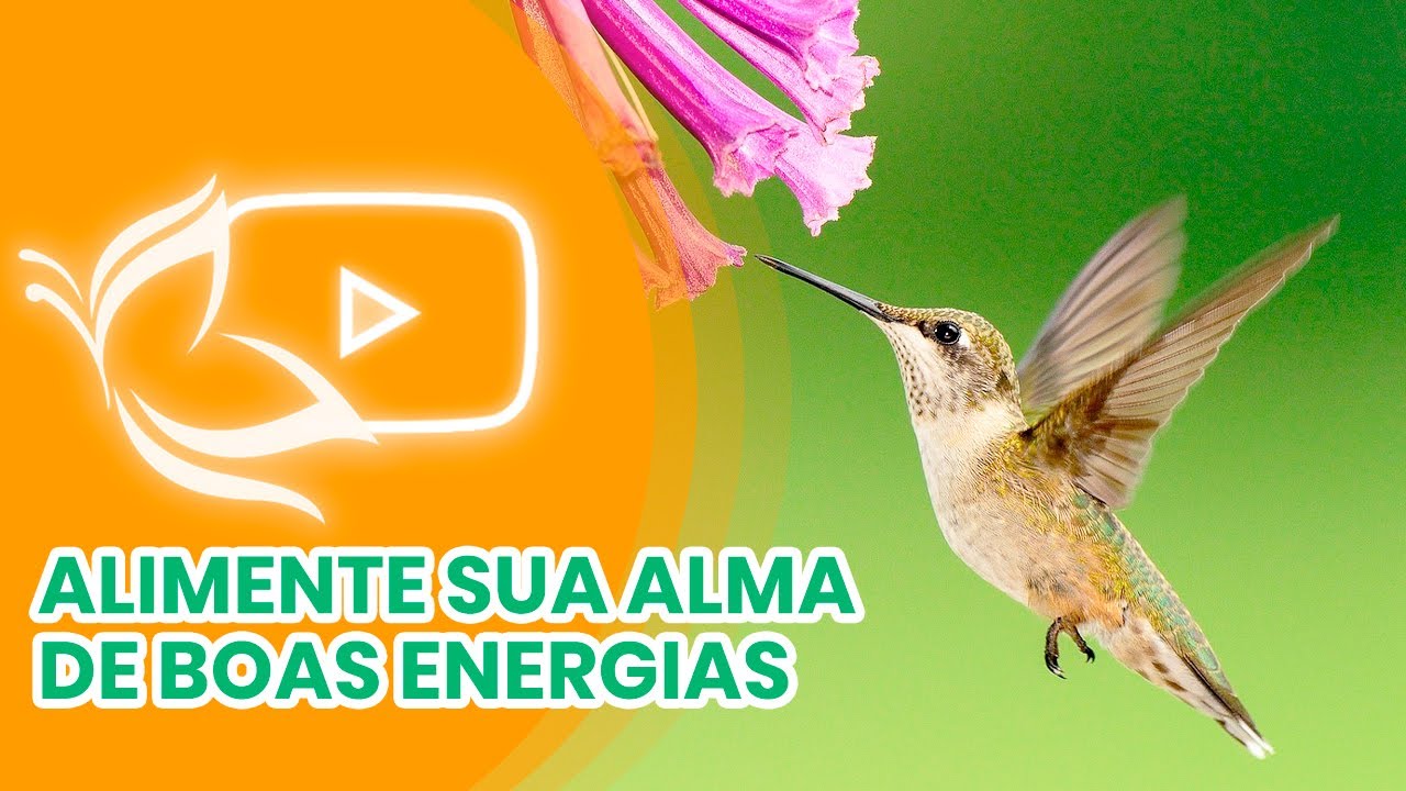 Sublime Mantra Para Aliviar o Cora&ccedil;&atilde;o e Eliminar Negatividade Vers&atilde;o Estendida - by Singh Kaur