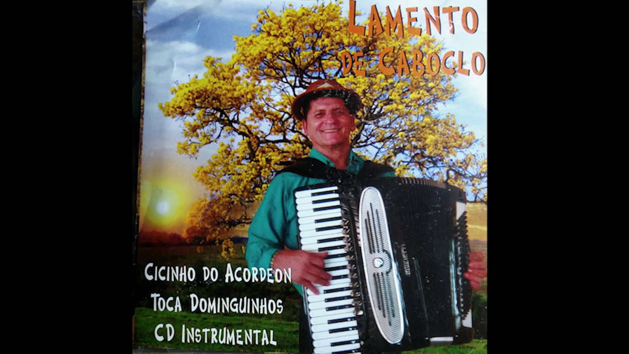 cicinho do acordeon  toca dominguinhos