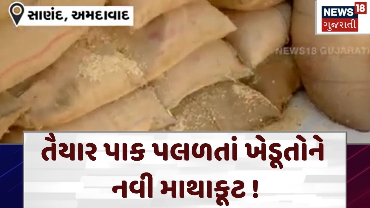 Ahmedabad APMC | ખેડૂતોની મુશ્કેલી વધારી, 30-35 ટકા ફટકો ! | Sanand | Farmers | Agriculture News