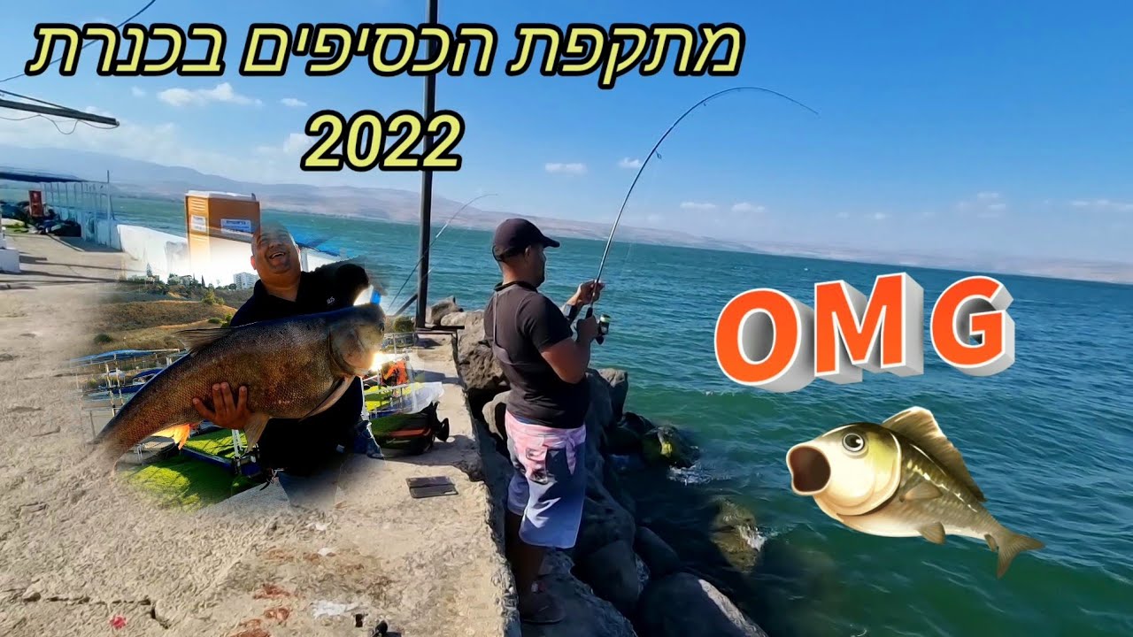 מתקפת הכסיפים בכנרת 2022 😱 פייט חלום עם המפלצות הענקיות ביותר בכנרת .