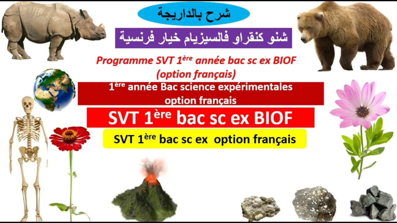 Programme svt 1ère bac sc ex  biof option français برنامج مادة علوم الحياة والأرض