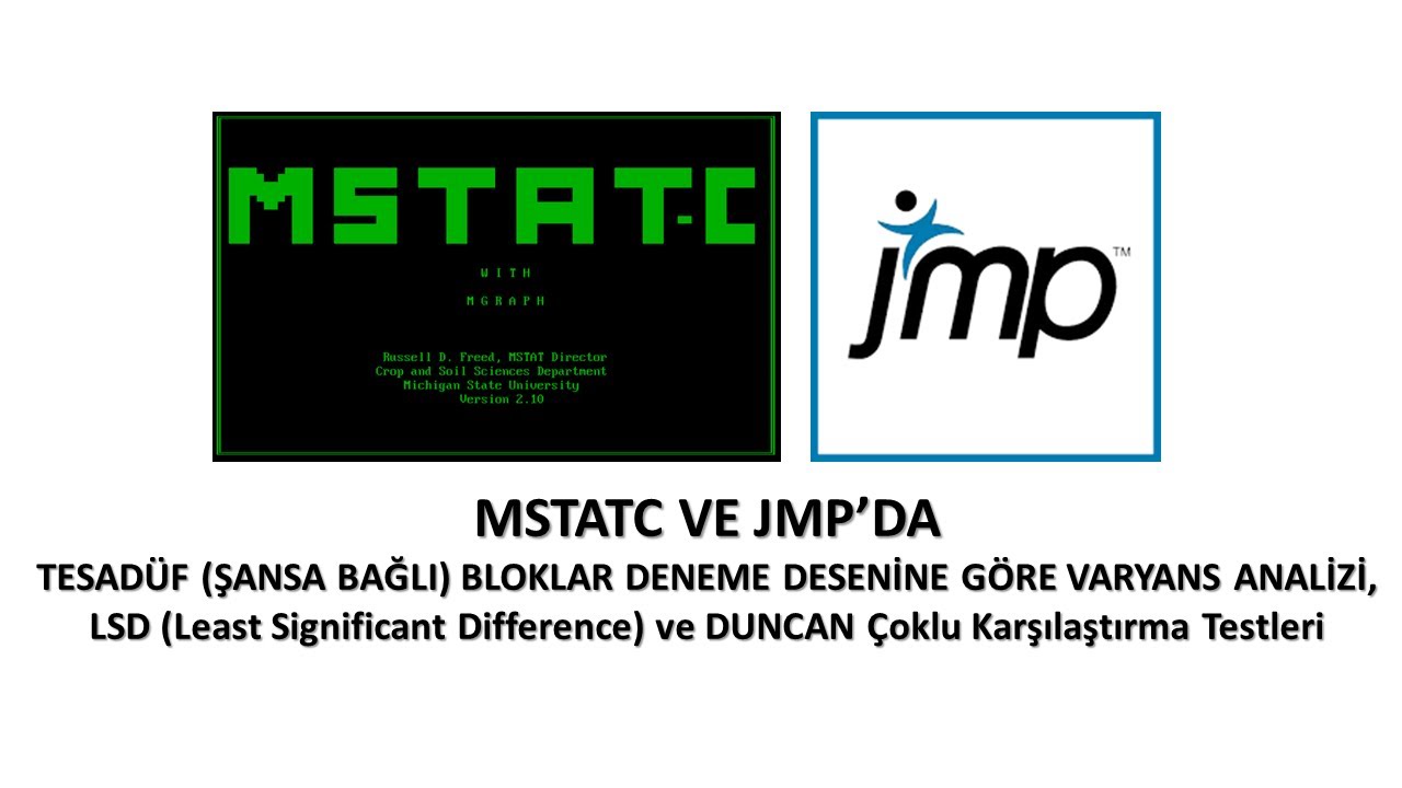 MSTATC VE JMP'da Tesadüf (Şansa Bağlı) Bloklar Deneme Desenine Göre Varyans Analizi