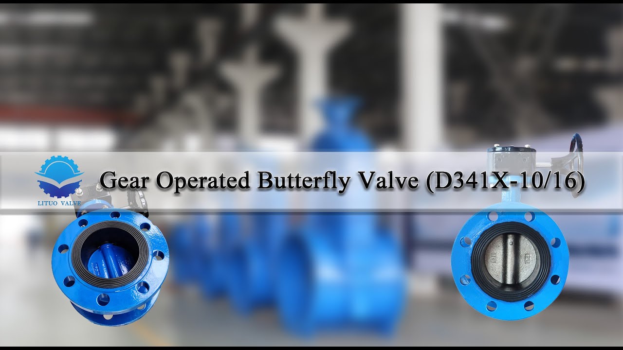 (LITUO) Gear Operated Butterfly Valve (D341X-1016)