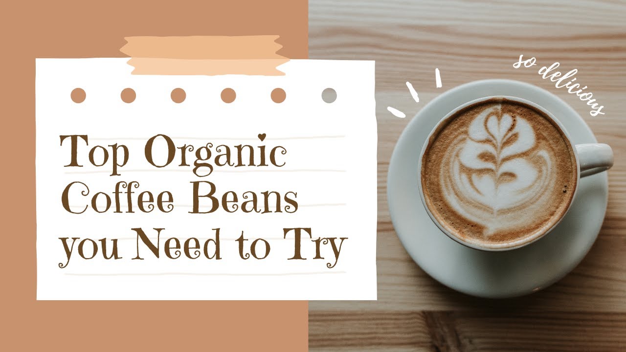 Top 13 Organic Coffee Beans for Health Conscious Consumers