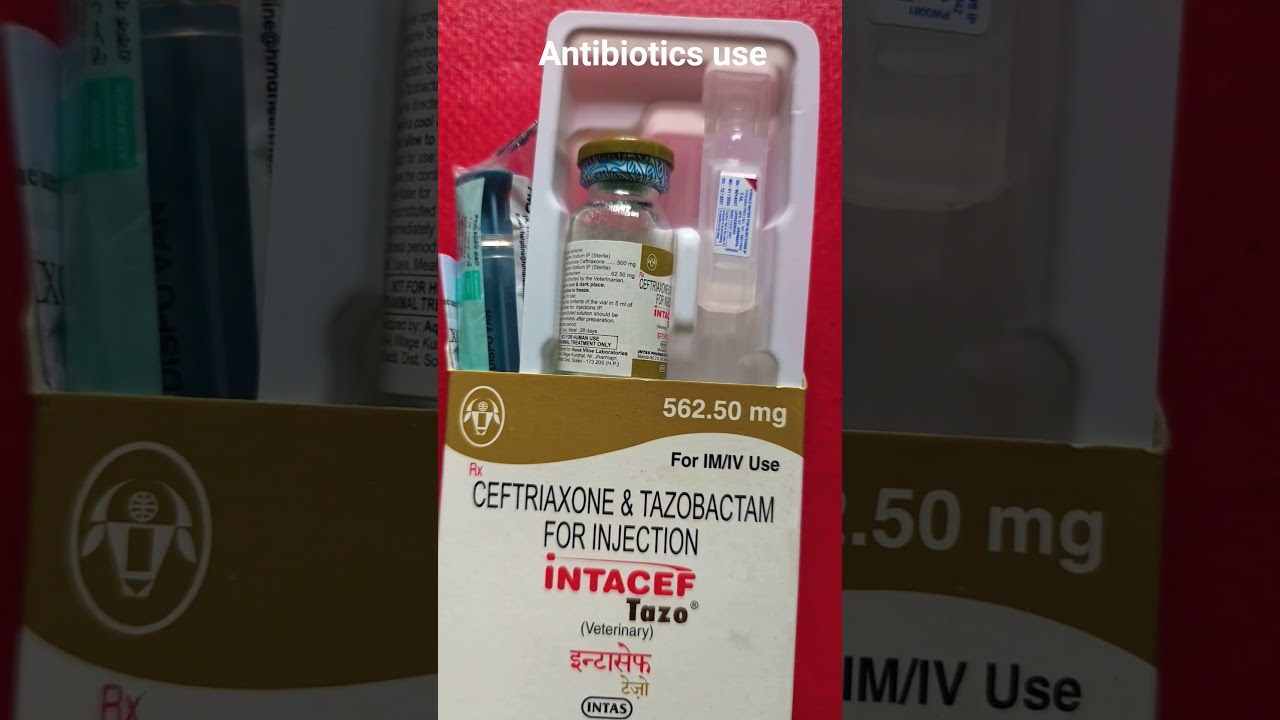 Use of Antibiotics 