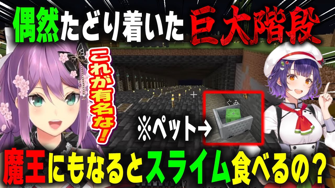 偶然、七瀬すず菜の巨大階段に辿り着くも感性が似ているのか訪問者の誰よりも大絶賛する桜凛月【にじ鯖/静凛/雲母たまこ/にじさんじ/切り抜き/マインクラフト】
