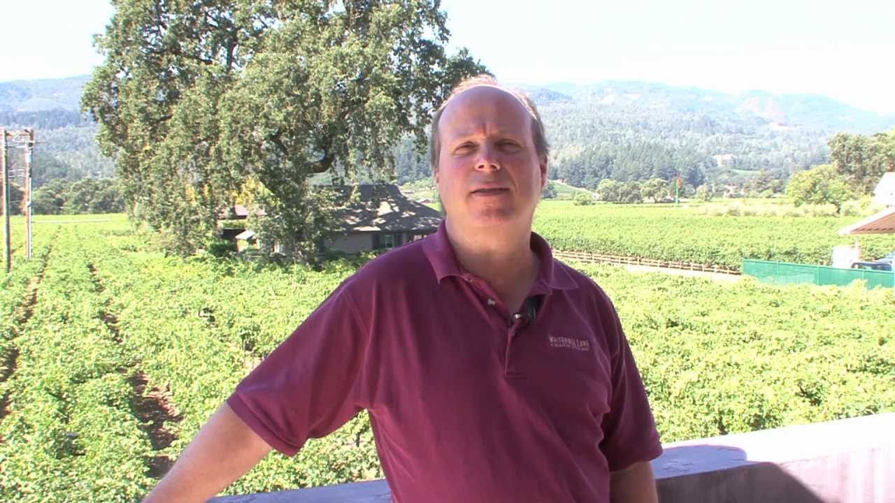 Whitehall Lane : California Wine with Tony