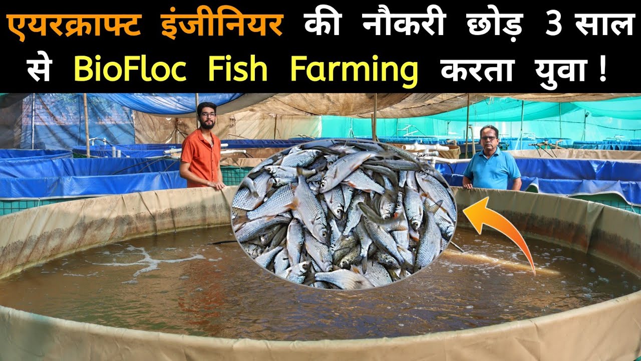 Biofloc fish farming से यह युवा कमा रहा है अच्छा प्रॉफिट | Fish Farming | Sandhu Agrofarm