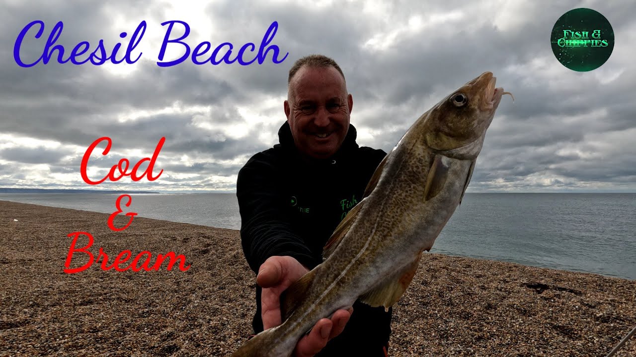 Cod Fishing at Its Best Chesil Beach