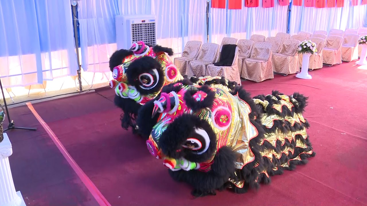 兩廣醒獅