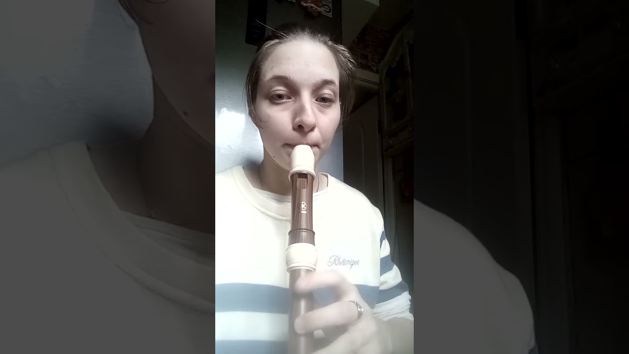 Блокфлейта альт Yamaha 314B авторская красивая музыка , plastic alto recorder my music