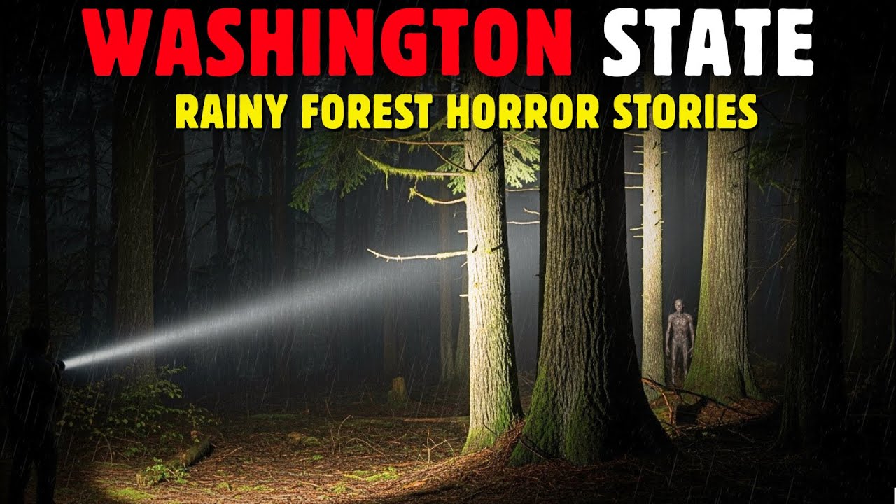 1️⃣ “10 TERRIFYING Pacific Northwest Stories That PROVE Something Is Living in the Woods…” 