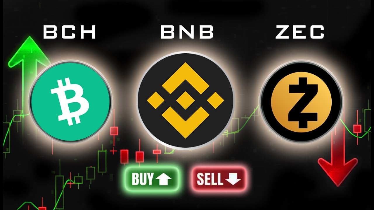BCH, BNB & ZEC | pRICE pREDICTION, TARGETS & POSSIBILITIES IN ELLIOTT WAVE
