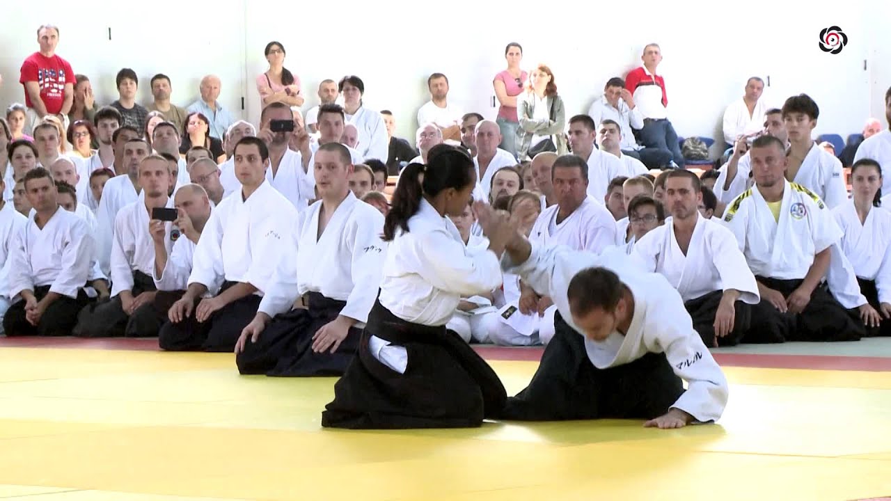 Wilko Vriesman Sensei Demonstration in Cluj - International Aikido Federation