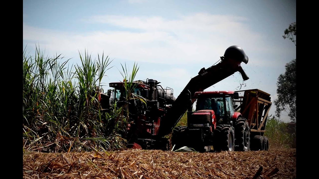 Cualidades del Ingenio Azucarero - TvAgro por Juan Gonzalo Angel
