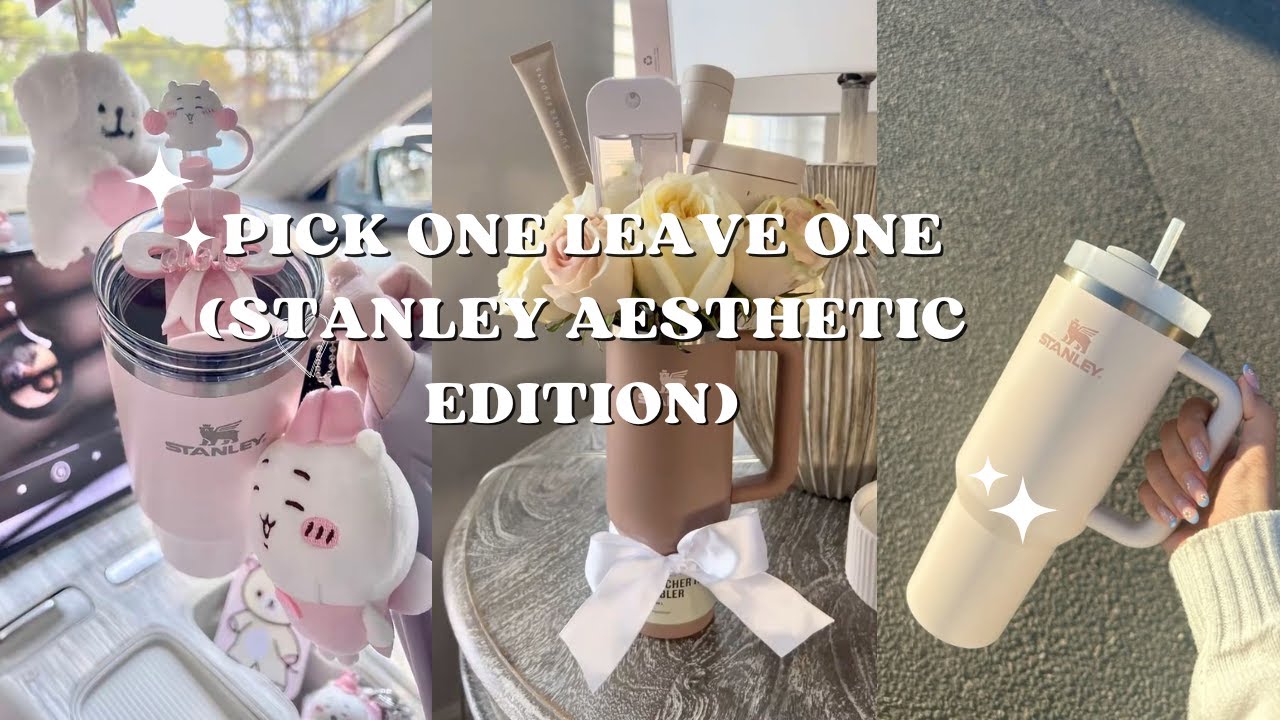 pick one, drop one – stanley cup edition 💧🎀 | hydration girl aesthetic