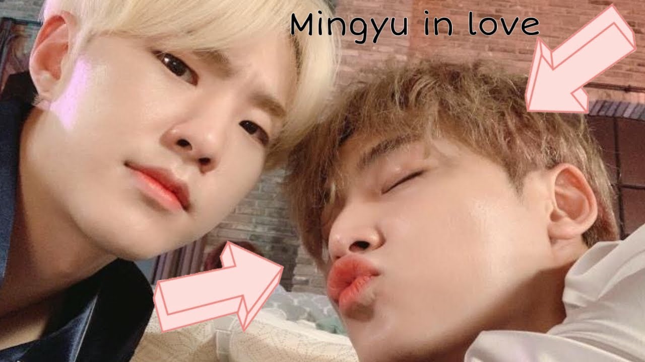 Mingyu is so in love with Hoshi 💓- SEVENTEEN