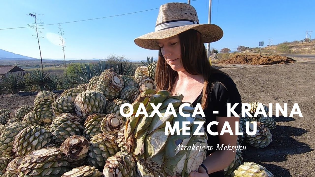 Jak robiony jest mezcal? - atrakcje w Meksyku