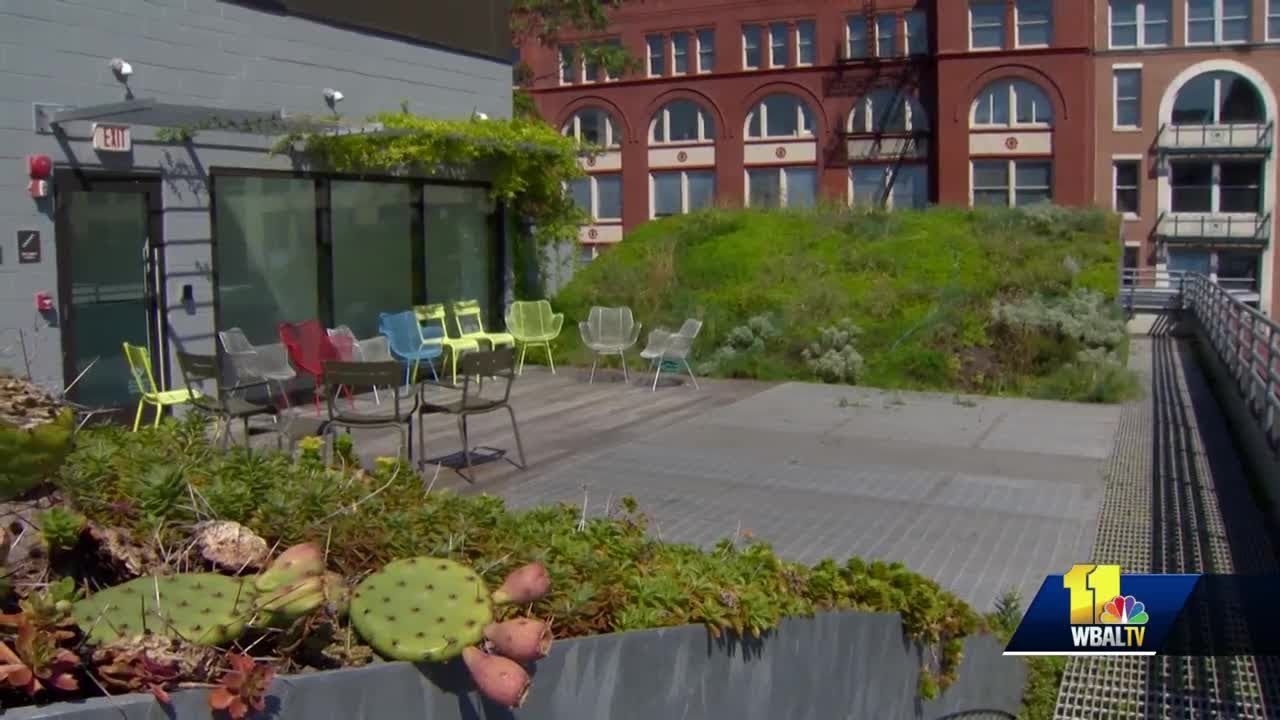 See why green roof concept is growing in U.S.