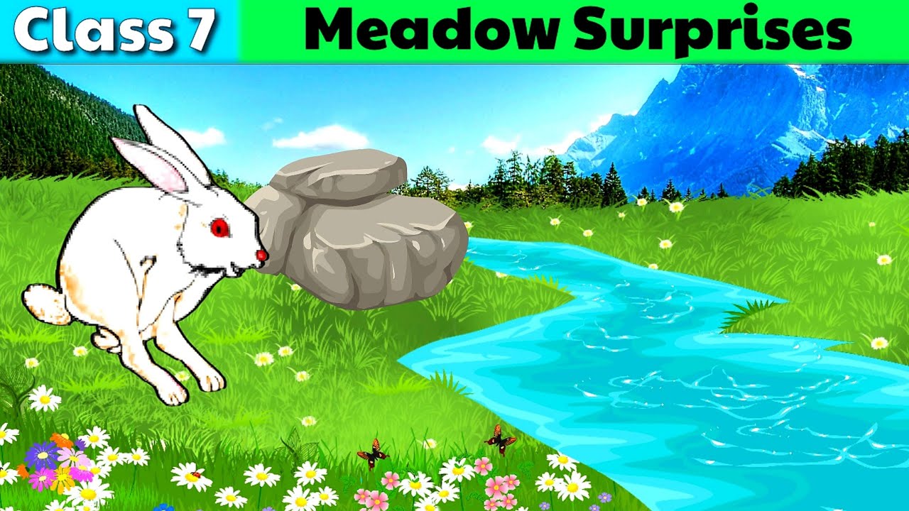 Meadow Surprises poem class 7 || Class 7 English || हिंदी में || Animated poem