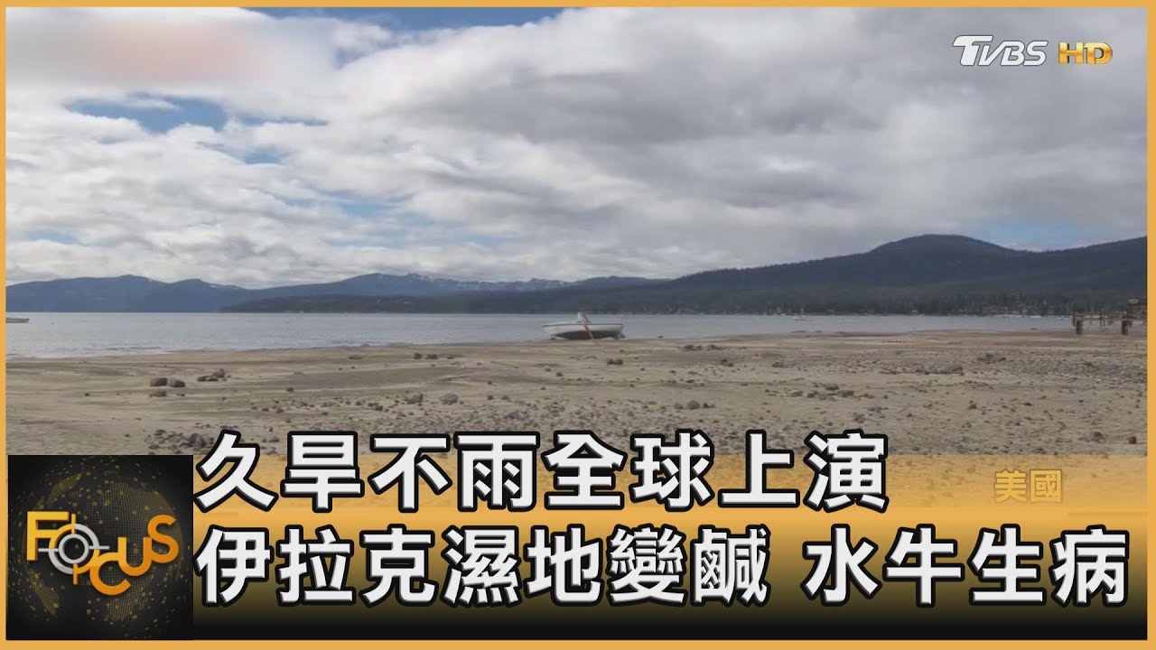 久旱不雨全球上演 伊拉克濕地變鹹 水牛生病｜方念華｜FOCUS全球新聞 20211015