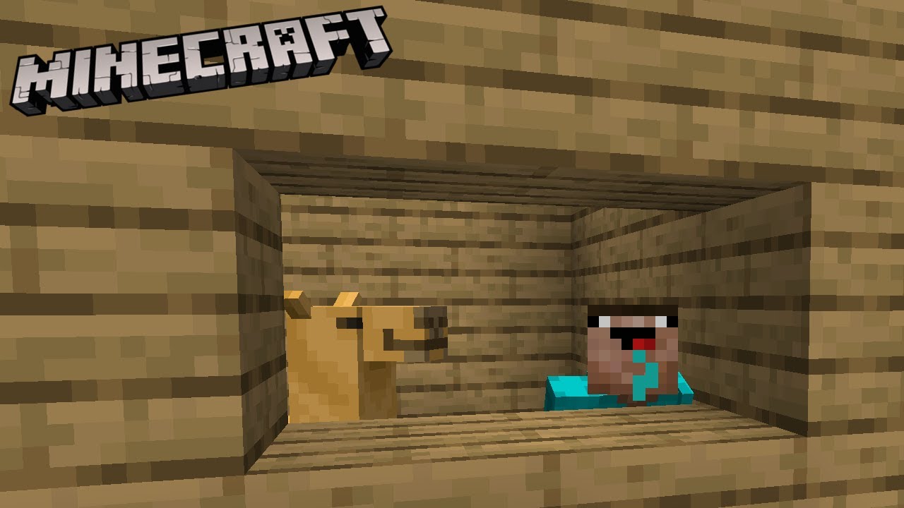 Они думали, что я сошёл с ума (смешные моменты Minecraft)