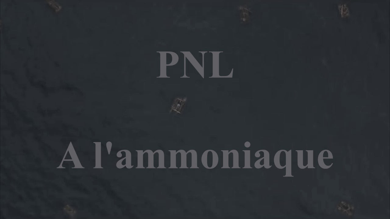 PNL - A l'Ammoniaque [INSTRUMENTAL remake sample]