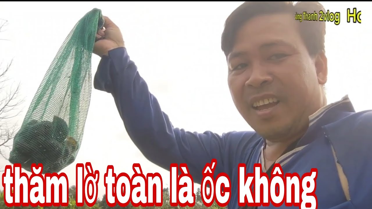 cuối năm thăm lờ thất quá khứ toàn là ốc không 