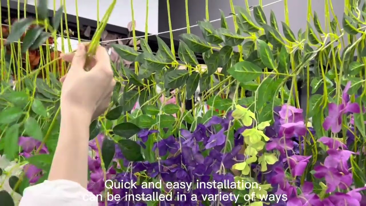 Wisteria installation and use
