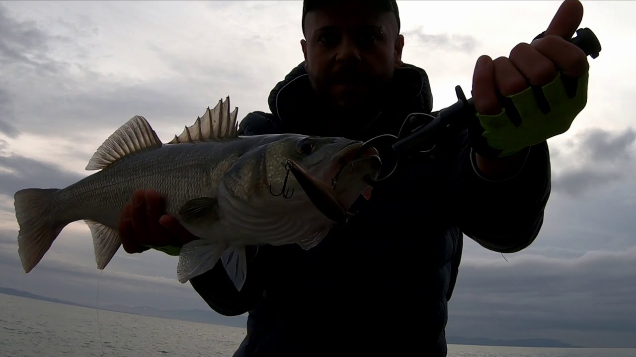 spinning in mare, doppietta di spigole - saltwater spinning, two seabass.. live strike!!😃😃