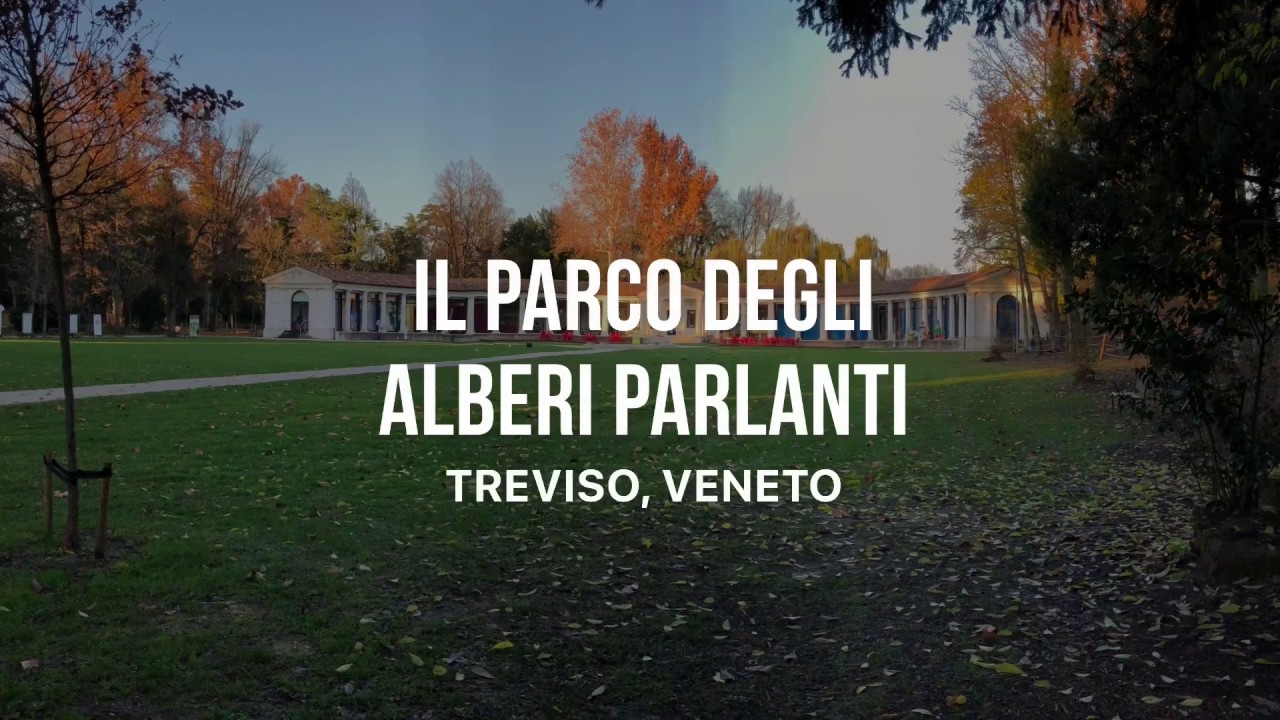 Il parco degli alberi parlanti - Treviso (Italy)