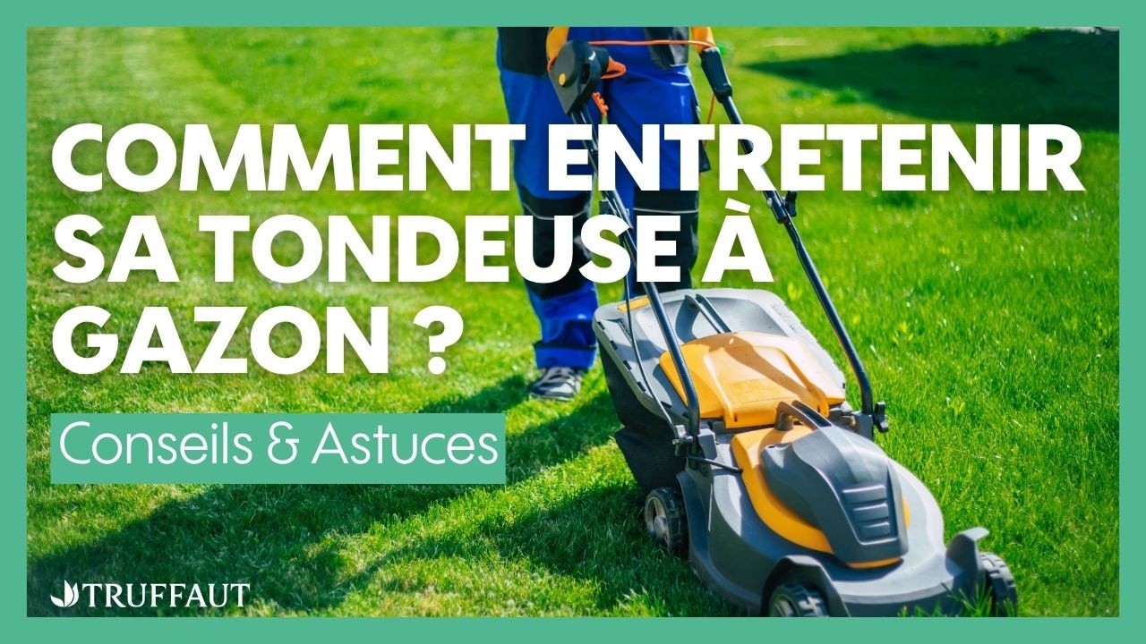 Comment entretenir sa tondeuse à gazon ? - Truffaut