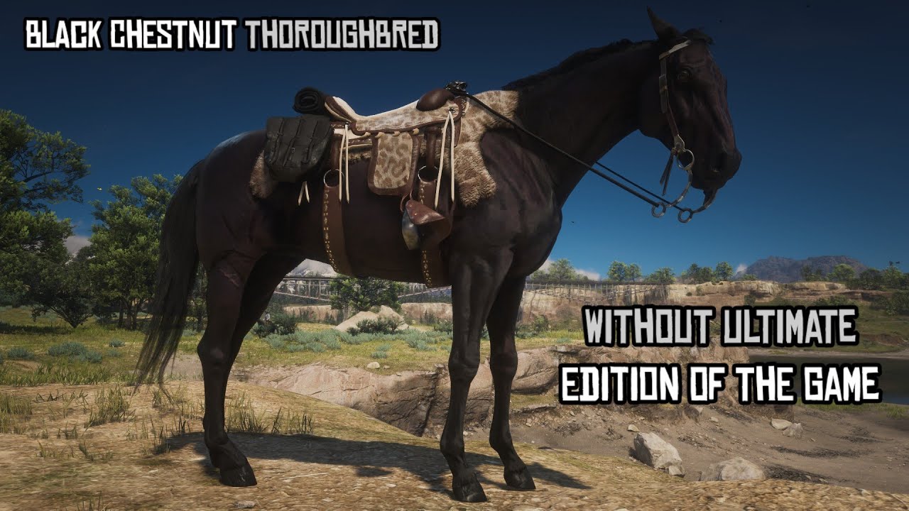 5 Super Fast Horses for Arthur | ft. Black Chestnut Thoroughbred | RDR2