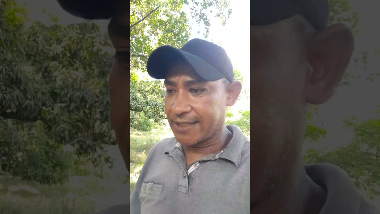Como procurar ouro com murrão do caja 