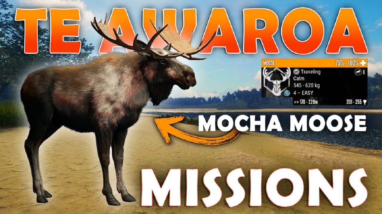 Hunt the Elusive MOCHA MOOSE in the TE AWAROA MISSIONS!!!