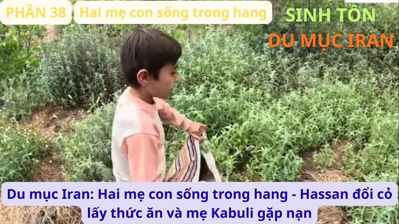 Du mục Iran: P38 Hai mẹ con sống trong hang - Hassan đổi cỏ lấy thức ăn và mẹ Kabuli gặp nạn