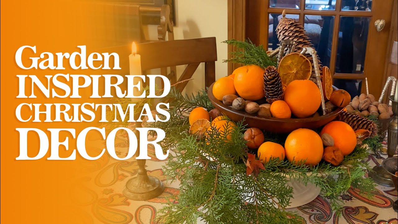 Garden Inspired Christmas Decoration Ideas - Using Evergreens & Clementines | Linda Vater
