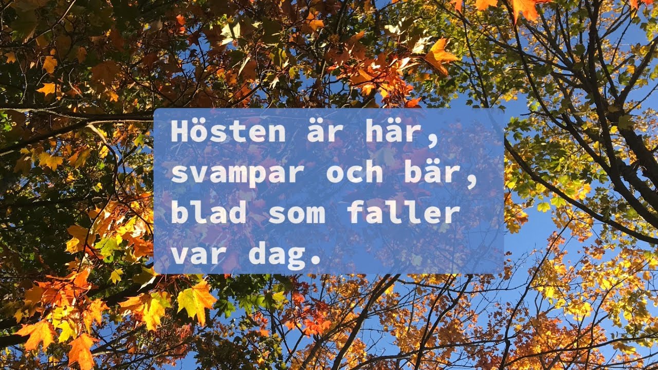 Höstsånger barn: Hösten är här (med text) 