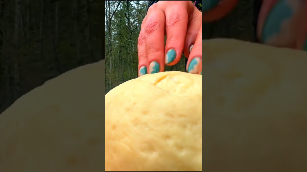 cooking in nature #valhalla  #naturecamping #bushcraft #firewood #nature #wildlife #camping