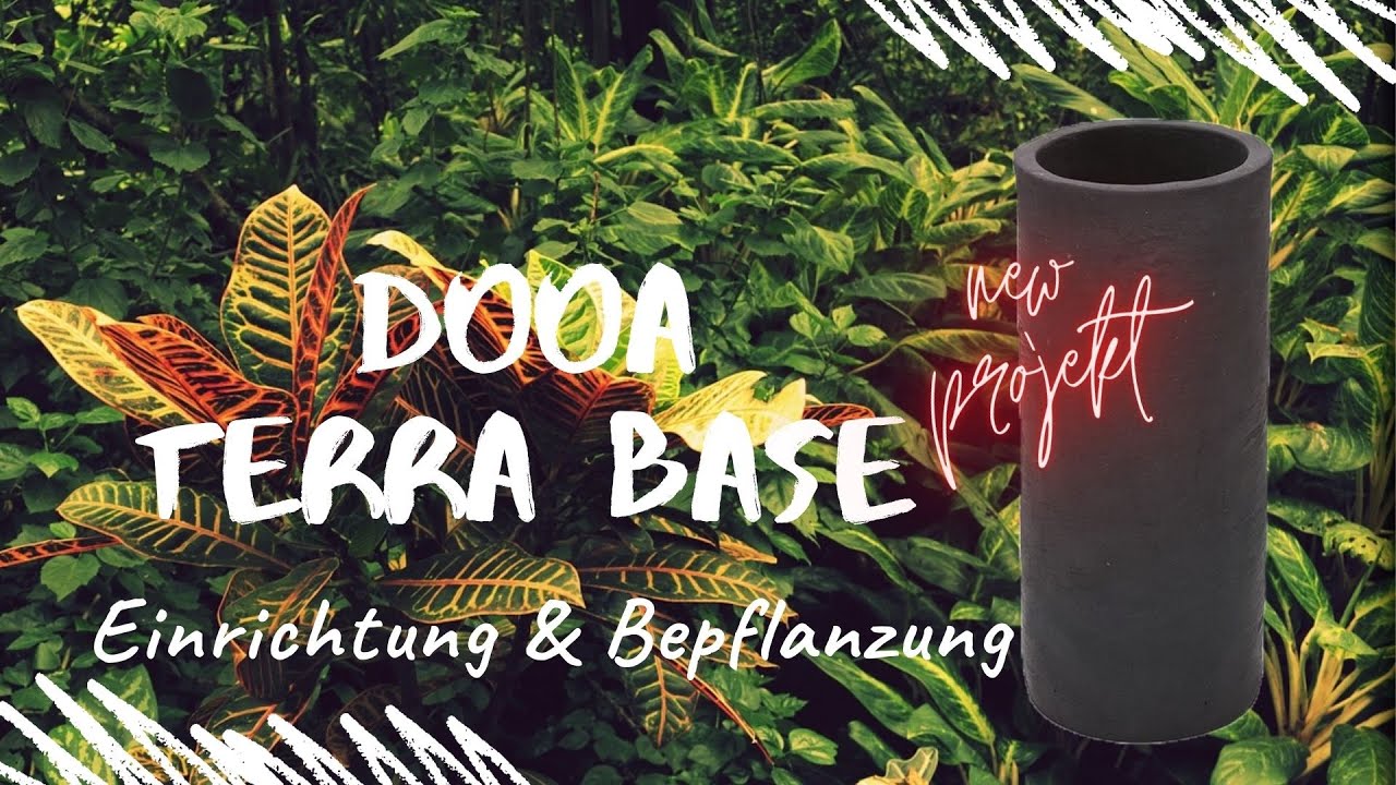 DOOA TERRA BASE 🌿 - Einrichtung & Bepflanzung - Step by Step Tutorial