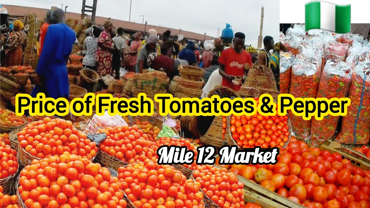 Fresh Tomatoes, Pepper, Tatashe & Bawa  Price Update August 2025 + What #7,000 Got Me in Lagos 