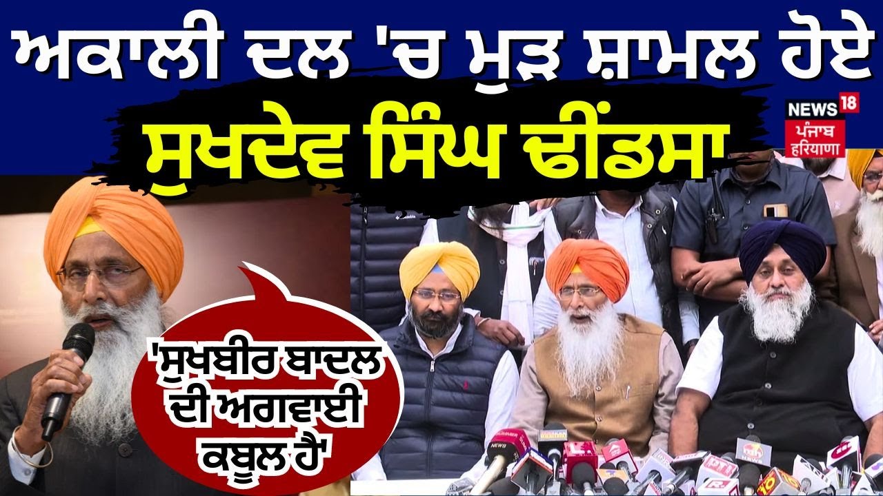 Sukhdev Singh Dhindsa on Akali Dal | 'ਸੁਖਬੀਰ ਬਾਦਲ ਦੀ ਅਗਵਾਈ ਕਬੂਲ ਹੈ' | Punjab News | News18 Punjab