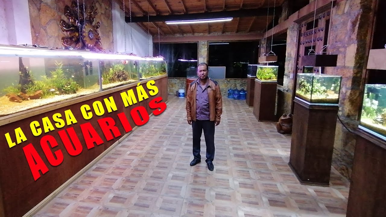 9 IMPRESIONANTES acuarios en UNA sola Casa! | Part. 1