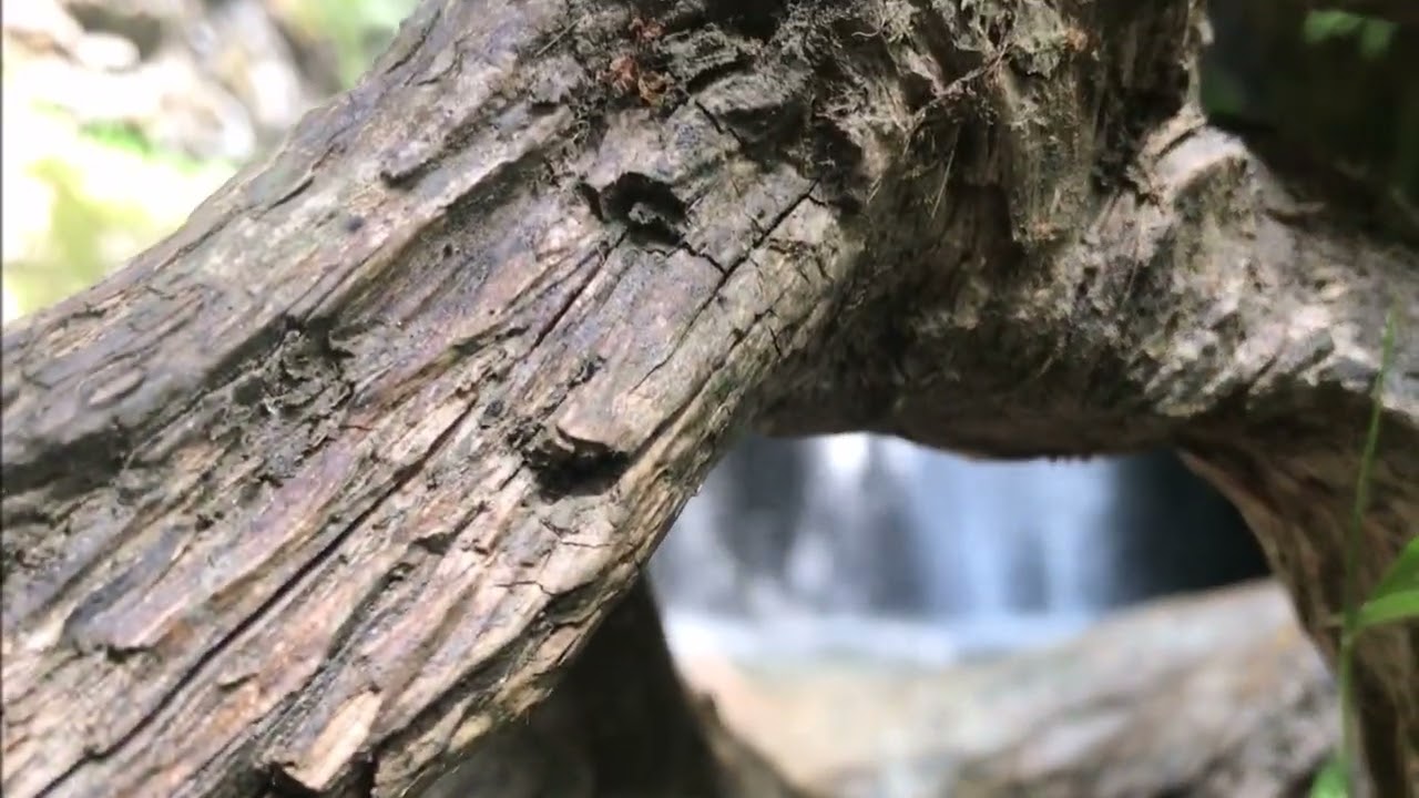 #Todtmooser_Wasserfall